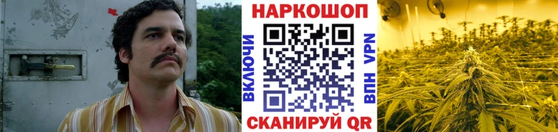Магазины продажи наркотиков Елизаветинская Метадон  LSD-25  COCAIN  Гашиш 