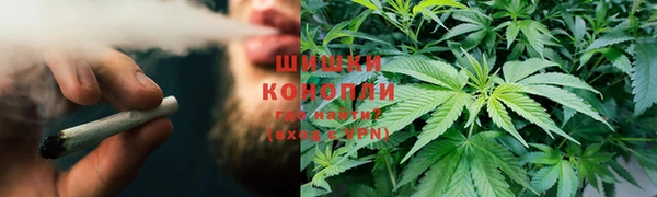 прущая мука Бородино
