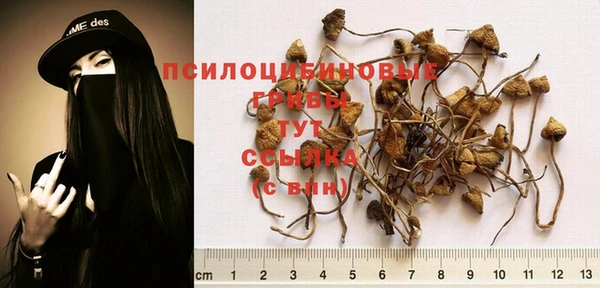 прущая мука Бородино