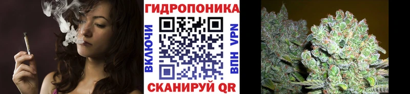 где купить наркотик  Елизаветинская  Каннабис LSD WEED 